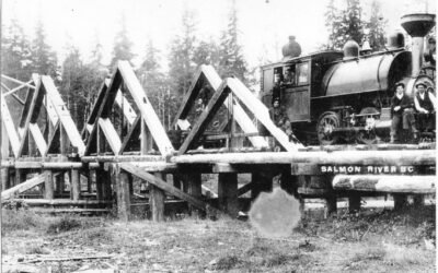 Salmon River Rail Logging